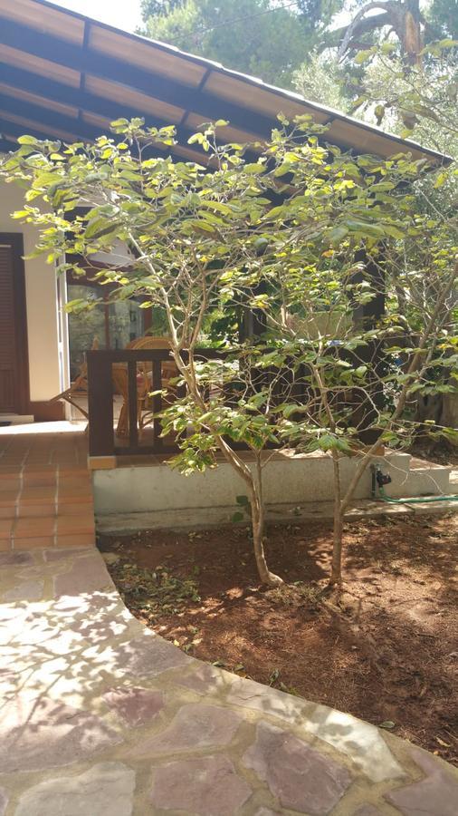 Villa Chabola Denia Luaran gambar
