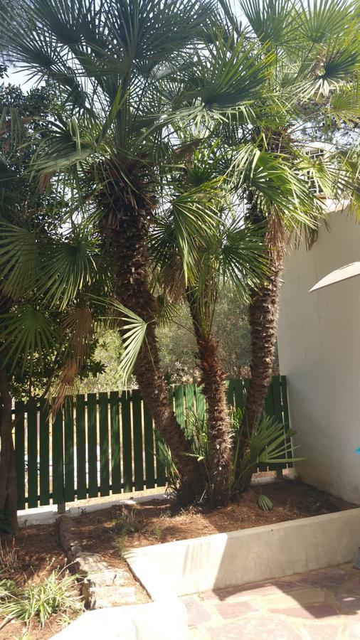 Villa Chabola Denia Luaran gambar